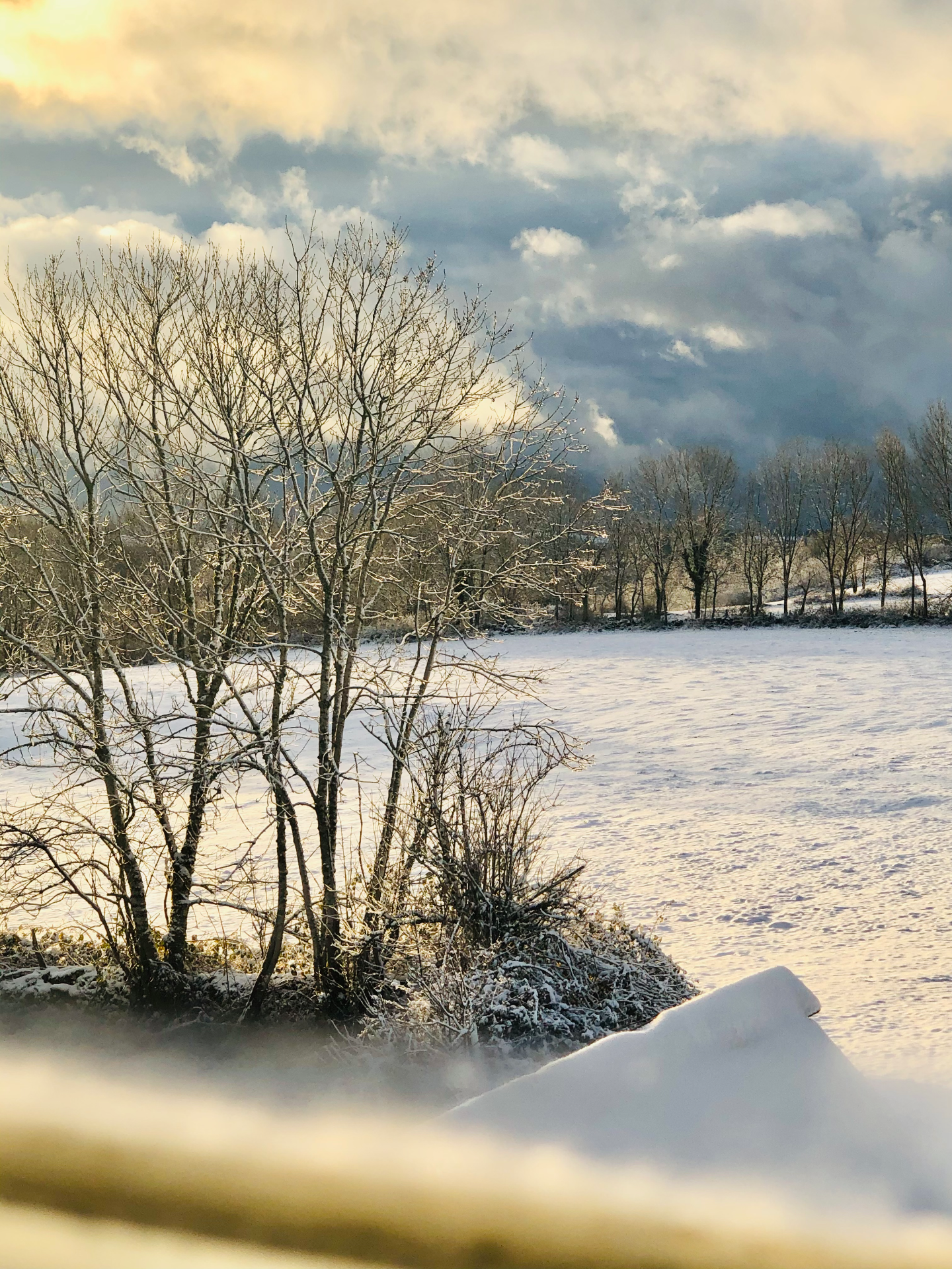 Journée d'hiver depuis la maison