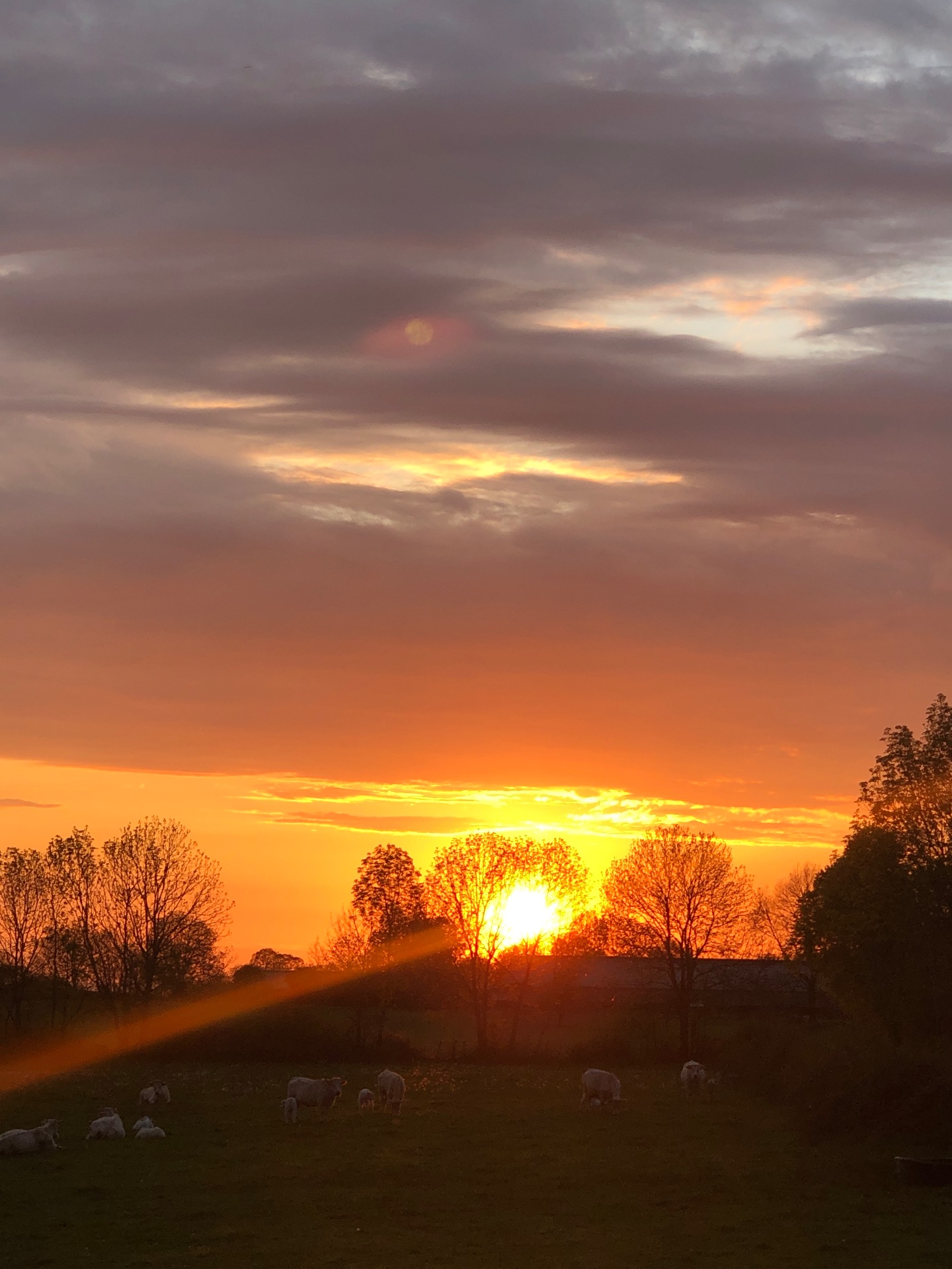 Coucher de soleil depuis la maison
