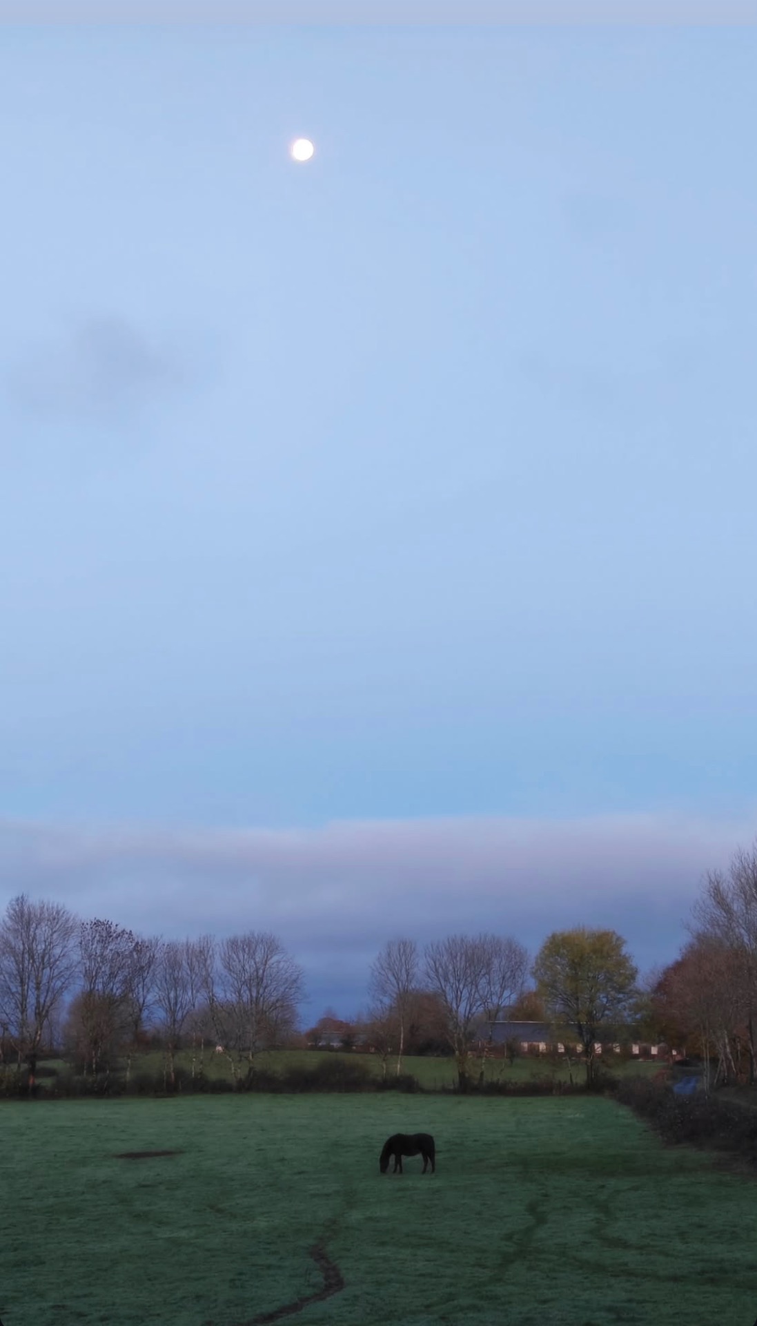 Soir d'automne depuis la maison